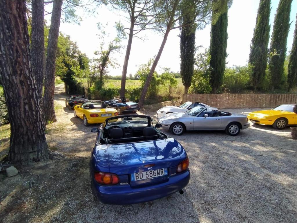 Miataland Bed & Breakfast Collazzone Dış mekan fotoğraf
